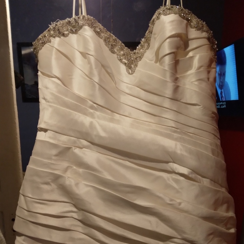 Enzoani Magnolia Wedding Dress with veil and sash - Picture 8 of 10